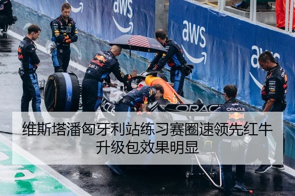维斯塔潘匈牙利站练习赛圈速领先红牛升级包效果明显